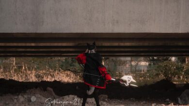 170311gilbngndd5ftcd5c-vVYkLe.jpg